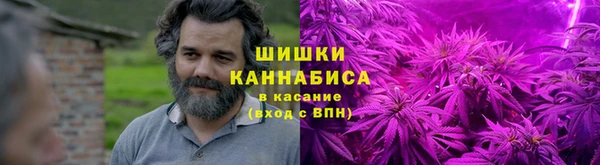 ПСИЛОЦИБИНОВЫЕ ГРИБЫ Балахна