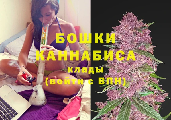ПСИЛОЦИБИНОВЫЕ ГРИБЫ Балахна